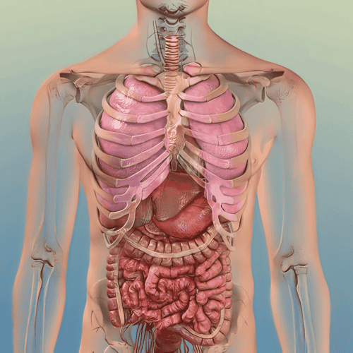 Immunotherapy: A New Frontier in Tijuana's Lung Cancer Treatment